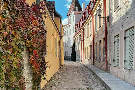 Gränd i gamla stan i Tallin