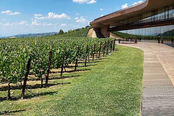 Vingården Antinori nel Chianti Classico