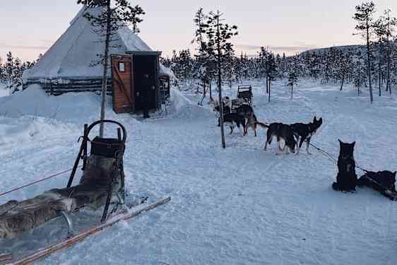 På tur med hundeslæde