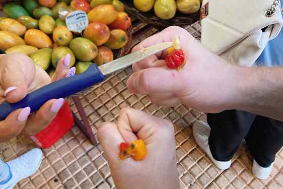 Eksotiske frugter i Funchal