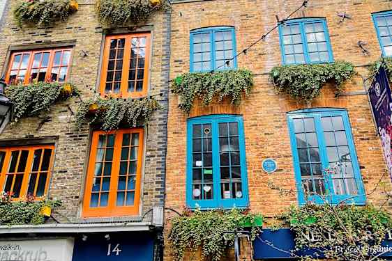 Neal's Yard