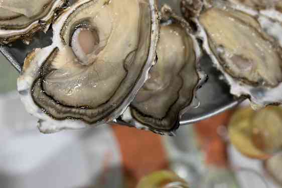 Østers på Le Cafe De Turin Nice