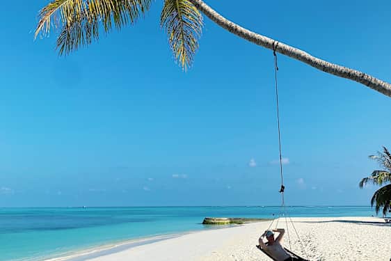 Mand ligger i hængekøje under en palme på stranden
