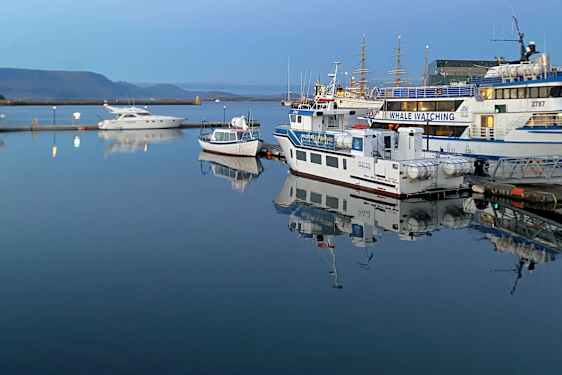 Både i havnen i Reykjavik