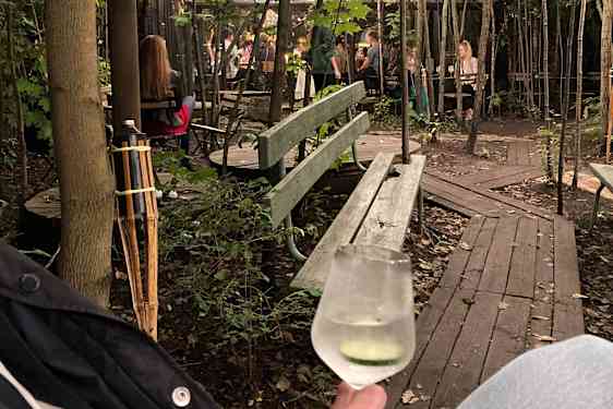 Bar i en have med smukke træer