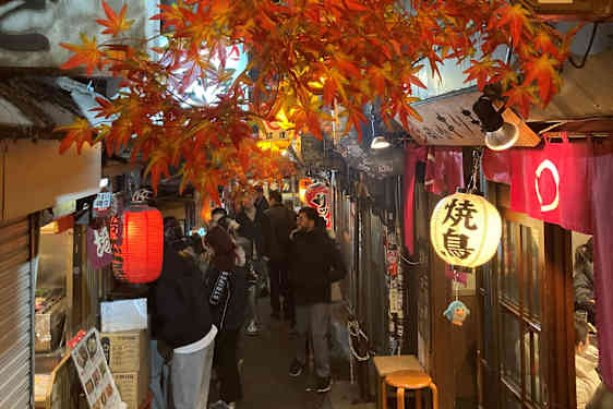 Hyggelige gyder i Omoide Yokocho
