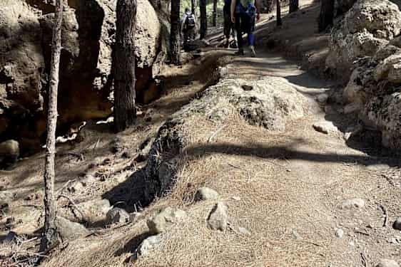 Vandresti på Gran Canaria