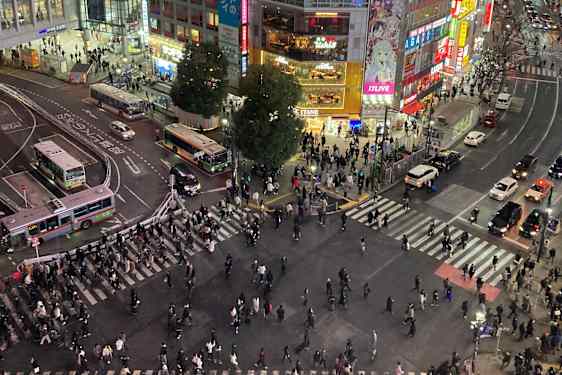 Jeg er besat af Shibuya, og jeg kan stirre på fodgængerfeltet i timevis!