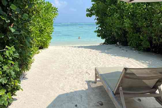 Solstol og parasol på kridhvidt strand med grønne træer