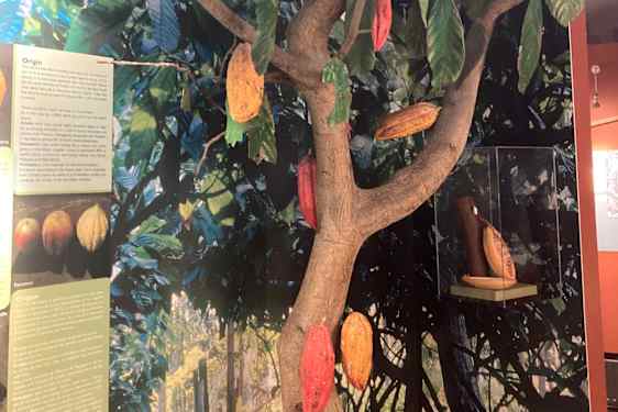 Interaktivt museum om kakao og chokolade