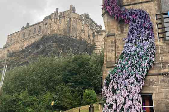 Blomster på facade, der symboliserer Rapunzels hår