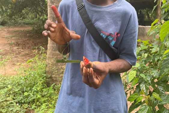 Glad dreng med krydderi på fingrene