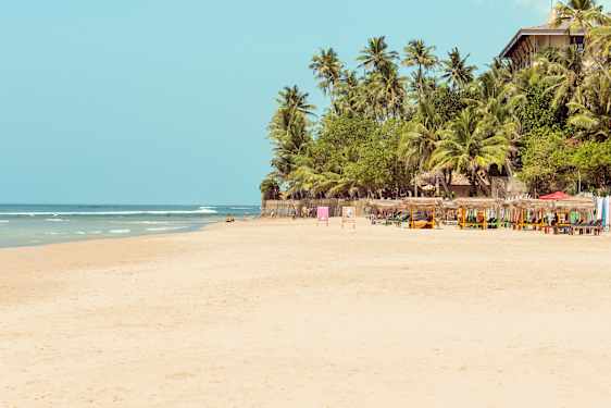 palmeblade og strand