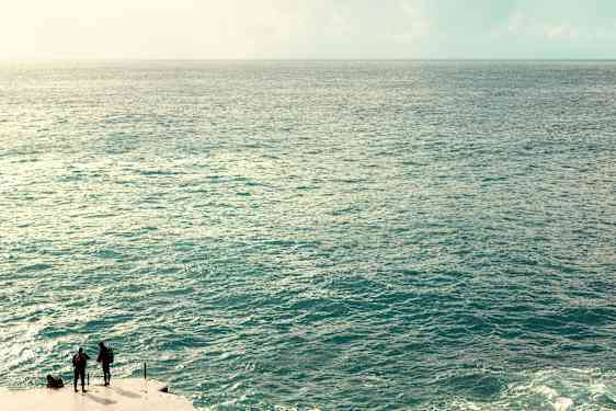 Oplevelser i højden, oplevelser i dybden. Det er ganske normalt at se hvaler og delfiner tæt ved kysten. 