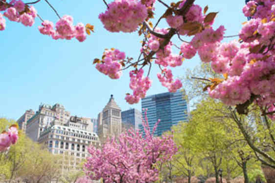 Romantisk bryllupsrejse i storbyen