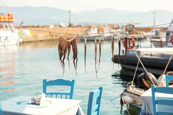 Friskfanget blæksprutte ved en restaurant ved vandet