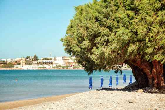 Makrigialos