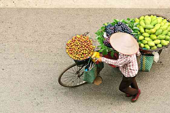 Mand på cykel med grøntsager