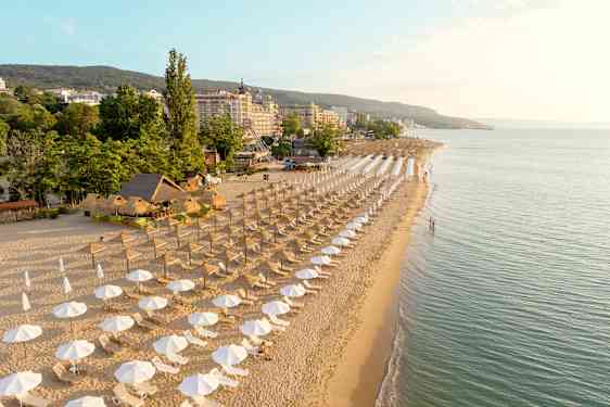 Forsikringer hos Spies