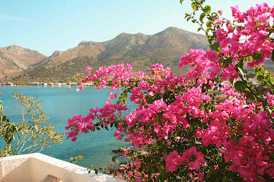 Tilos
