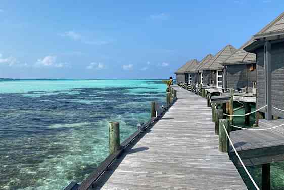 Vandvillaer i træ ved turkisblåt hav