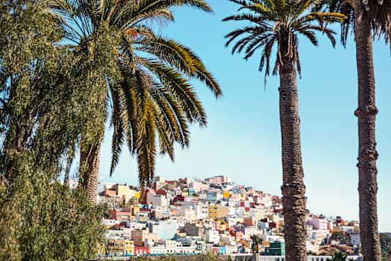 Smukke huse og palmer på Gran Canaria
