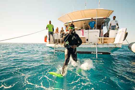 Mand hopper i vandet for at snorkle