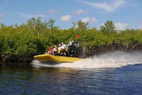 Airboat i Everglades