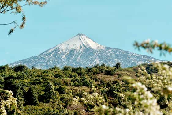 Teide