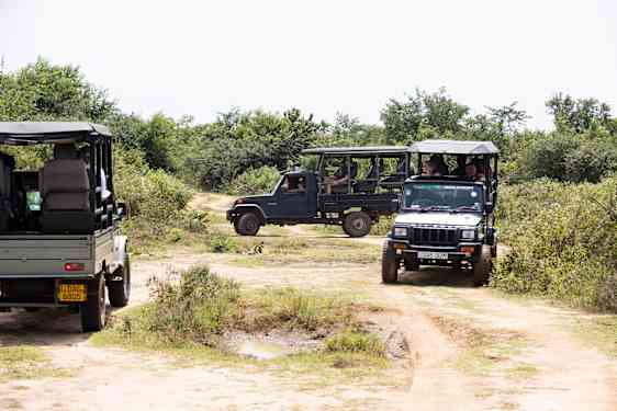 Jeeps med turister