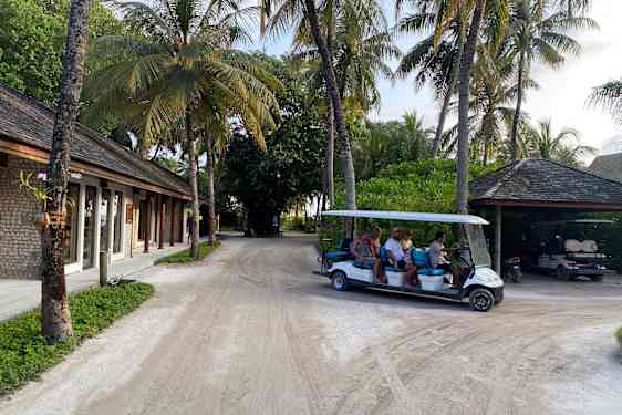 Hotelgæster i minibus ved palmer