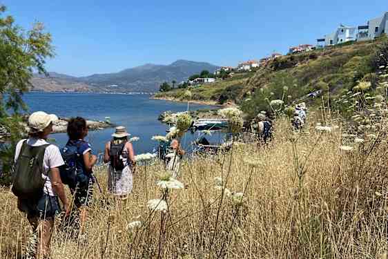 Vandring på Lesbos