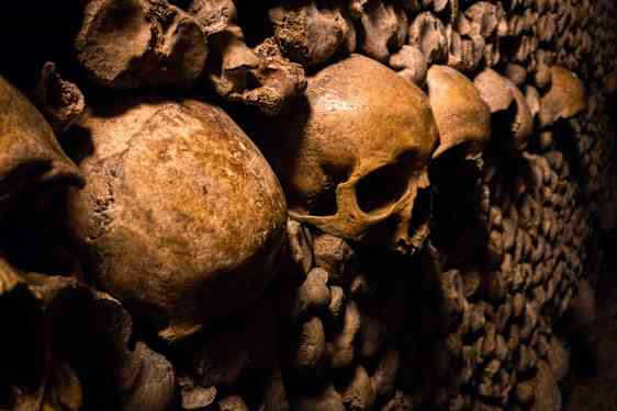Hodeskaller i katakombene i Paris