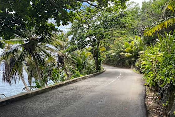 Vejen til Anse Parnell