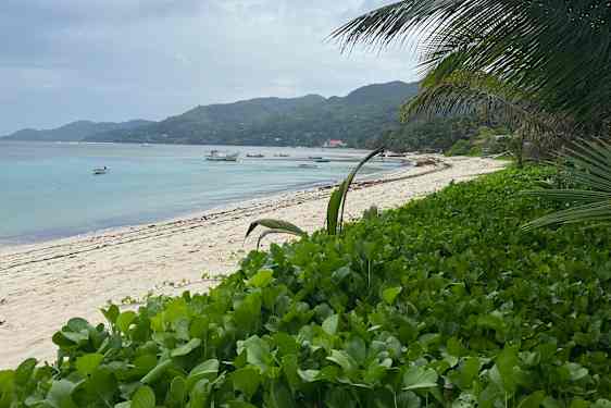 Anse Royale strand