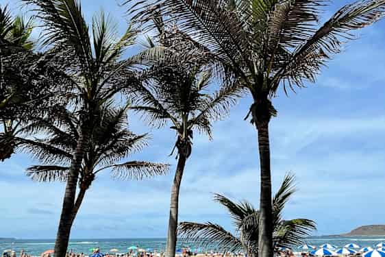 Las Canteras-stranden.