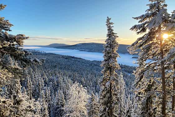 Udsigt over snedækket landskab