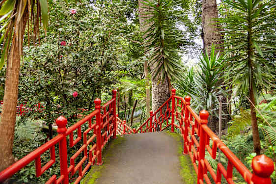 Botanisk have i Funchal