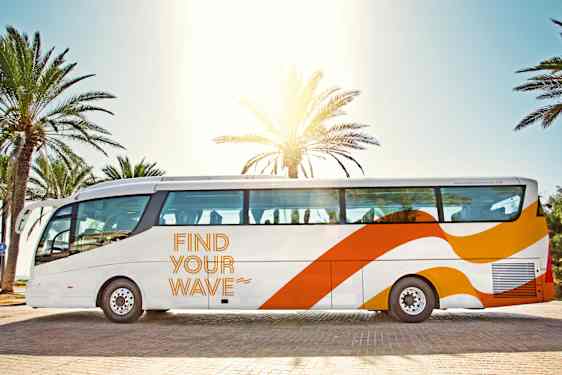 Stor transferbus omgivet af palmer