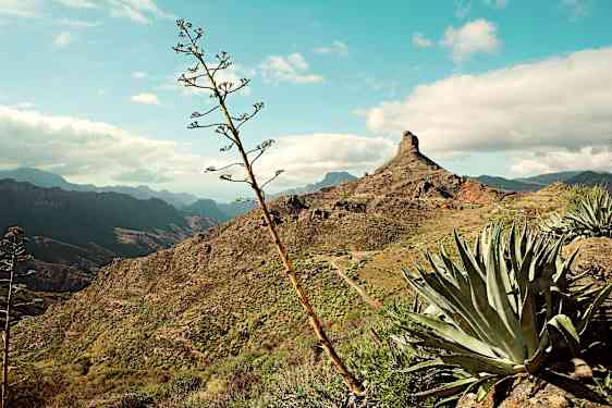 Gran Canaria