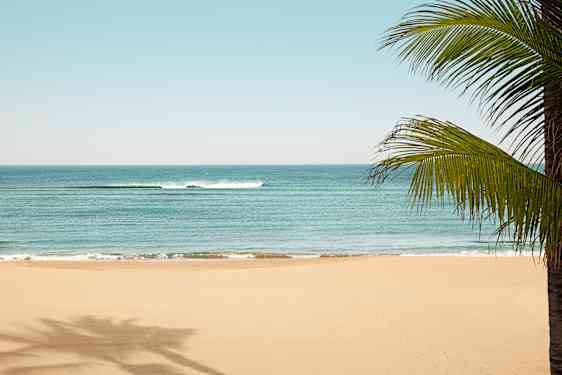 rejser til Gran Canaria