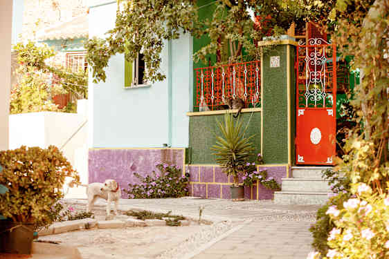 Der findes meget smukt at se i Koskinou.