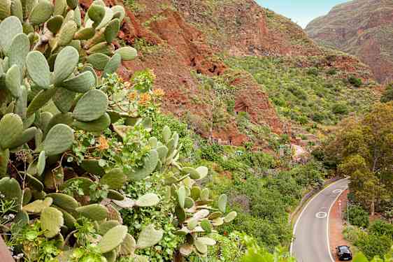 Bil og natur på Gran Canaria