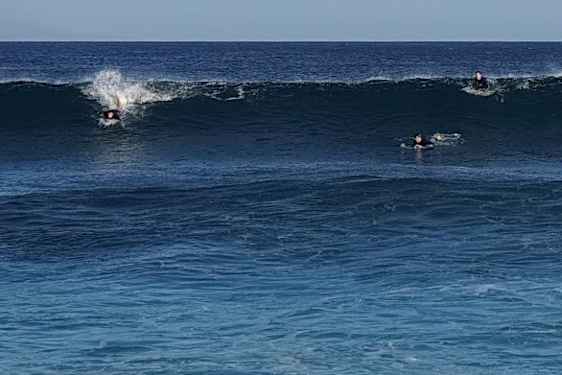 Surfere på en stor bølge