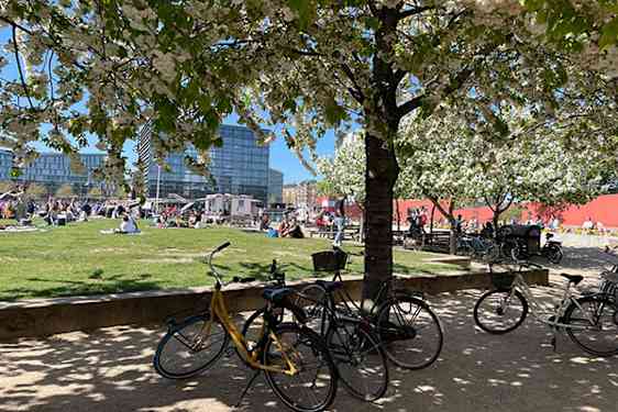 Sommer ved Islands Brygge