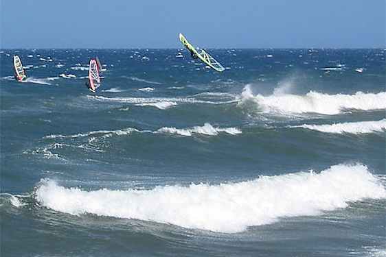 Windsurfere ude på vandet
