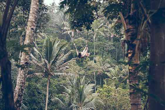 Risterrassene i Tegalalang på Bali