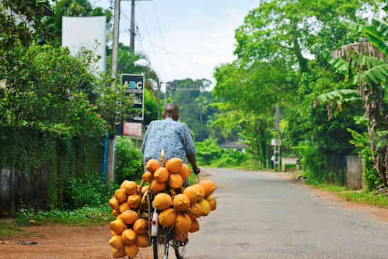 Appelsiner på en cykel i Sri Lanka