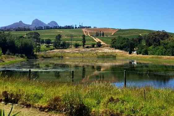 Vinsmagning i smukke omgivelser