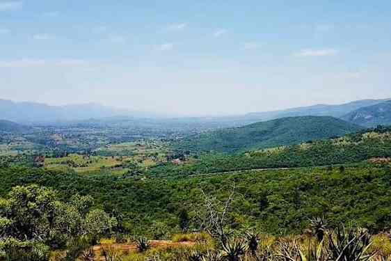 Smuk natur i Eswatini